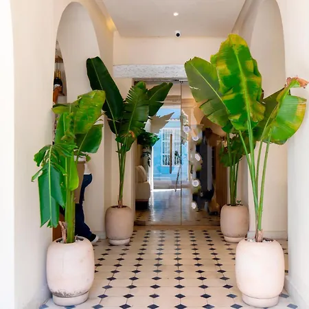 B Haus Boutique